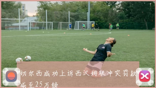 切尔西成功上诉西汉姆联冲突罚款减至25万镑